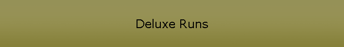 Deluxe Runs